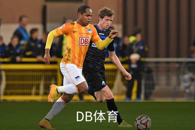 DB体育公司介绍图片